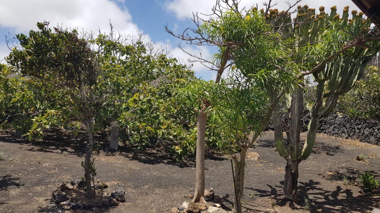 Finca Relax, Sea View, Oasis Vasiliko, La Asomada ติอาส ภายนอก รูปภาพ