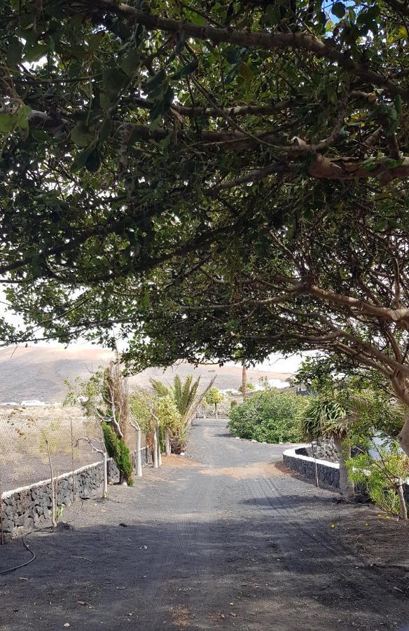 Finca Relax, Sea View, Oasis Vasiliko, La Asomada ติอาส ภายนอก รูปภาพ